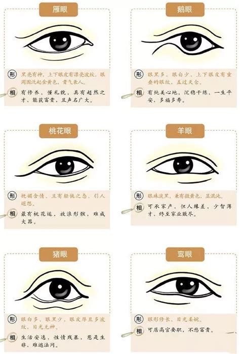 眼形 五行式代表